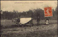 CASTELJALOUX (Lot-et-Garonne). – Un laboureur – Les Semailles 