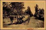 CASTELJALOUX (L.-et-G.) – Bouvier conduisant son attelage 