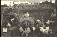 LE MIDI PITTORESQUE – La récolte du blé en Gascogne (La Gerbière) 