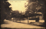 Villeréal - Marché aux veaux 