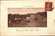 LE MIDI PITTORESQUE. La Récolte du Blé en Gascogne-L'Engerbage 